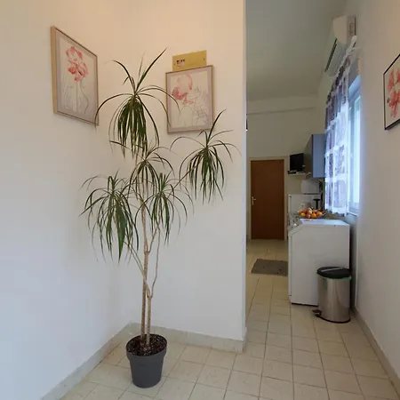 Апартаменты Ruza *