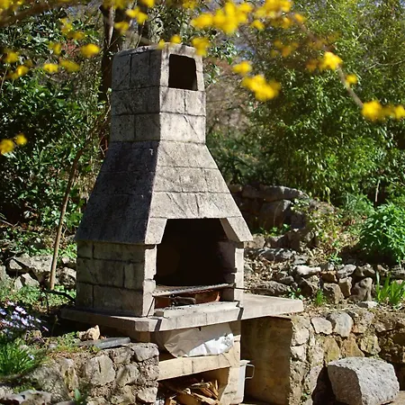 Апартаменты Ruza *