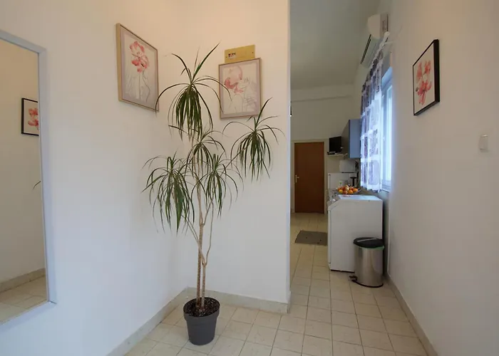 Apartamento Ruza *