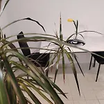 Ruza Apartment