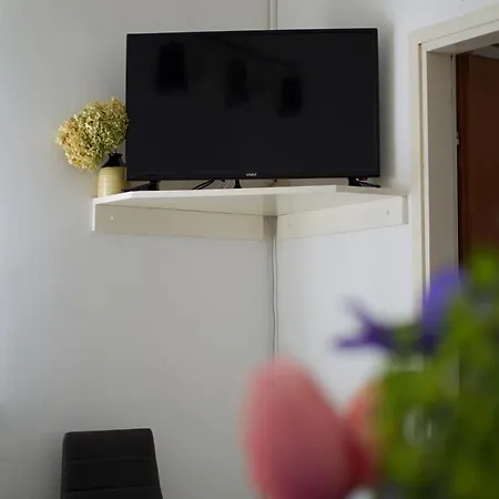 Ruza Apartment *