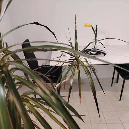 Ruza Apartment