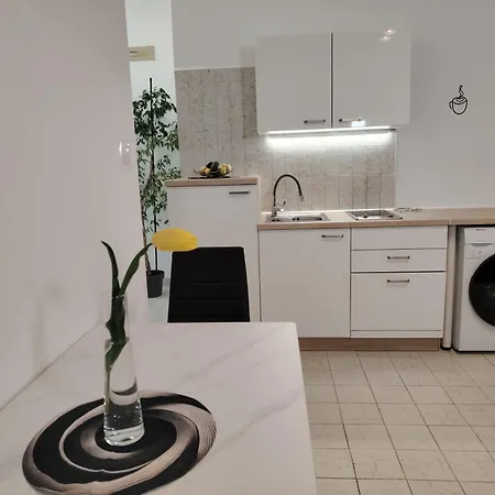 Apartment Ruza *