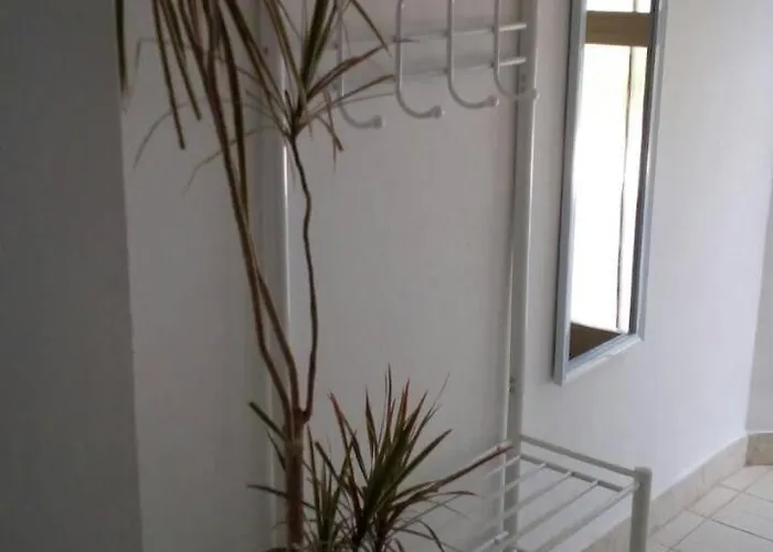 Ruza קריקווניצה